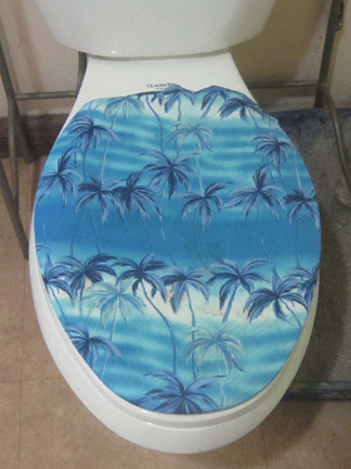 toilet seat lid cover from skirt