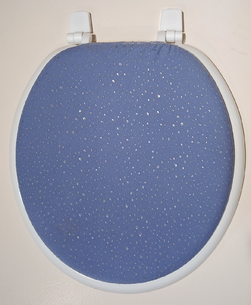 s5p4a toilet seat lid cover