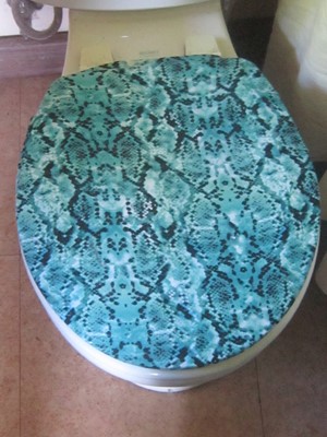 aqua bathroom toilet seat lid covers