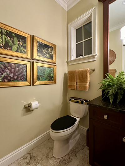 mbs earthy bathroom with black toilet seat lid cover